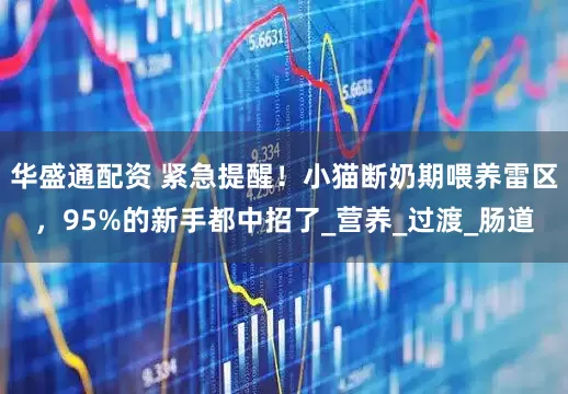 华盛通配资 紧急提醒！小猫断奶期喂养雷区，95%的新手都中招了_营养_过渡_肠道