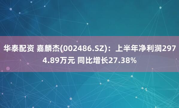 华泰配资 嘉麟杰(002486.SZ)：上半年净利润2974.89万元 同比增长27.38%