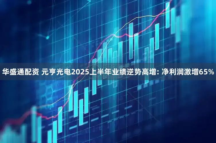 华盛通配资 元亨光电2025上半年业绩逆势高增: 净利润激增65%
